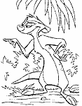 Timon