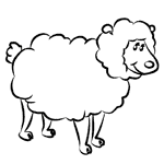 Come disegnare una pecora