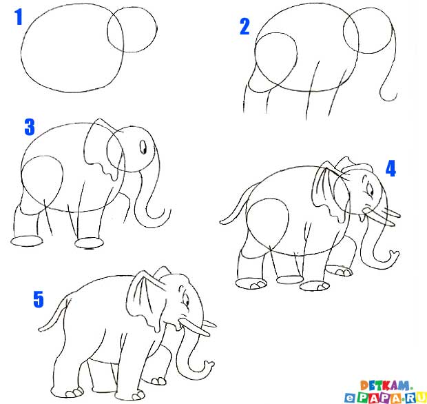 Come Disegnare Un Elefante Come Disegnare Gli Animali Come Disegnare
