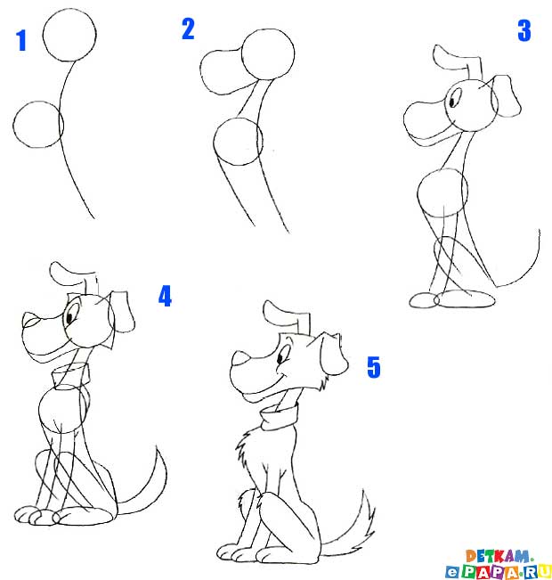 Come Disegnare Un Cane Come Disegnare Gli Animali Come Disegnare