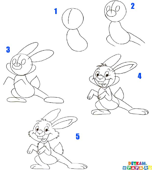 Come Disegnare Un Coniglio Come Disegnare Gli Animali Come Disegnare